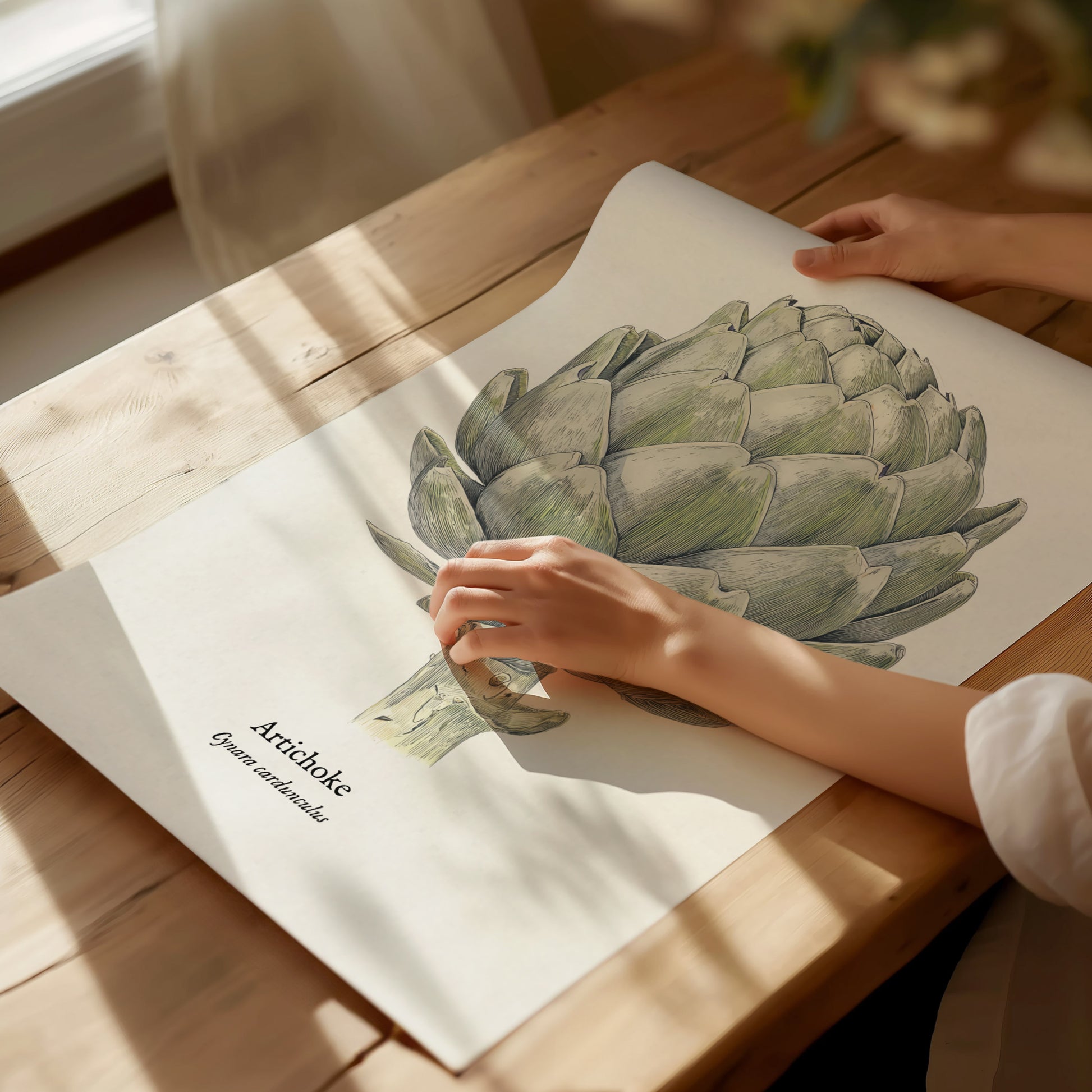 Artichoke Poster | Vintage Cynara Cardunculus Botanical Illustration Wall Art — giclée print detail on matte paper