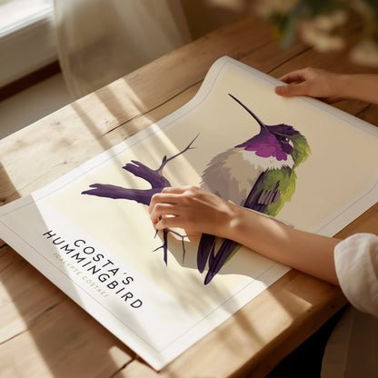 Costas Hummingbird Audubon Print | Bird Lover Wall Art | Framed or Unframed