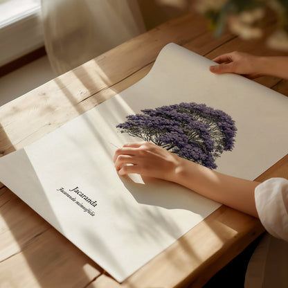 Jacaranda Poster | Vintage Jacaranda mimosifolia Botanical Illustration Wall Art — giclée print detail on matte paper