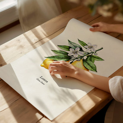 Botanical Lemon Poster | Citrus x Limon Framed Wall Art — giclée print detail on matte paper