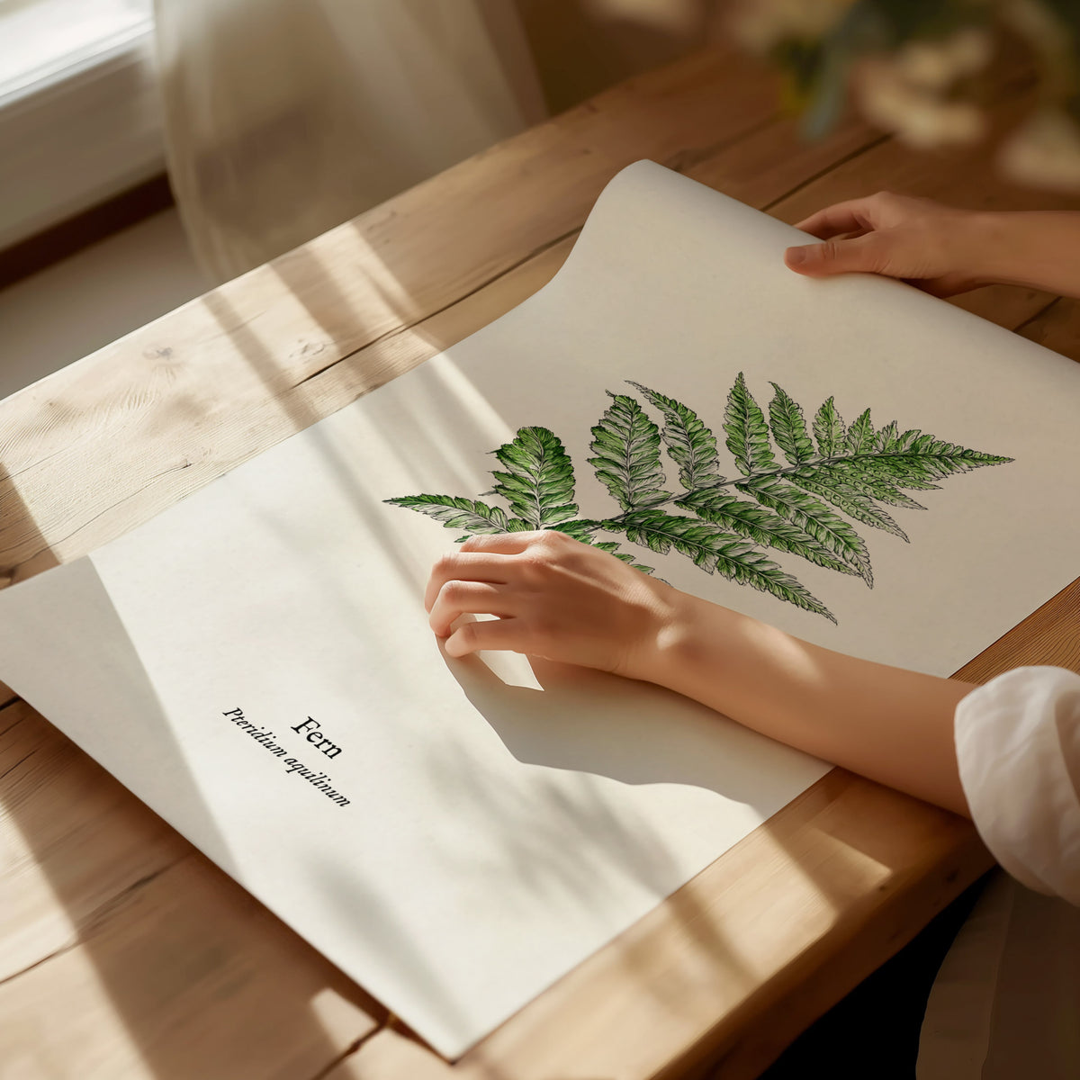 Fern Poster | Pteridium aquilinum Vintage Pen and Ink Print Scientific Illustration Wall Art — giclée print detail on matte p