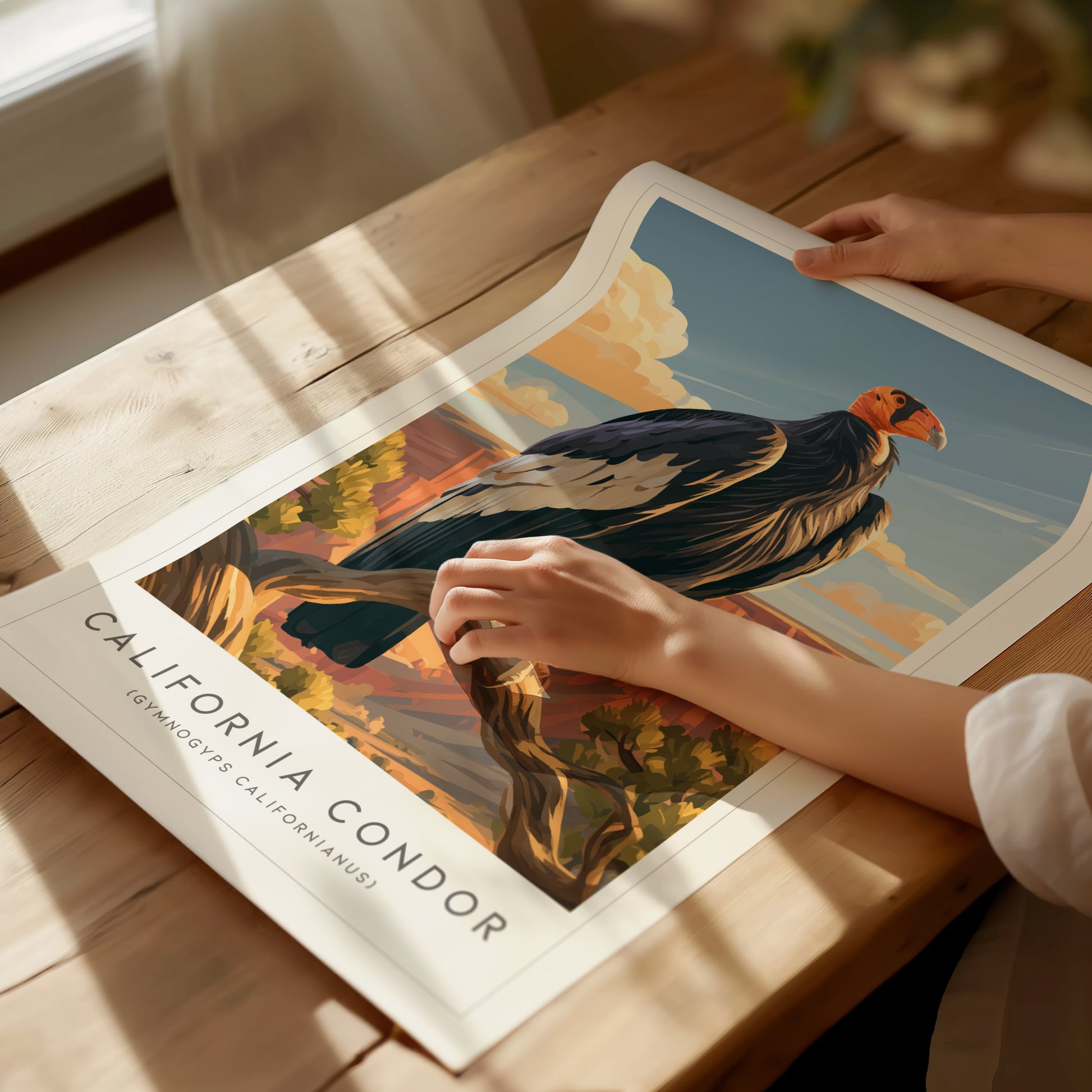 California Condor Poster | Majestic Wingspan Over Rugged Cliffs Wall Art — giclée print detail on matte paper