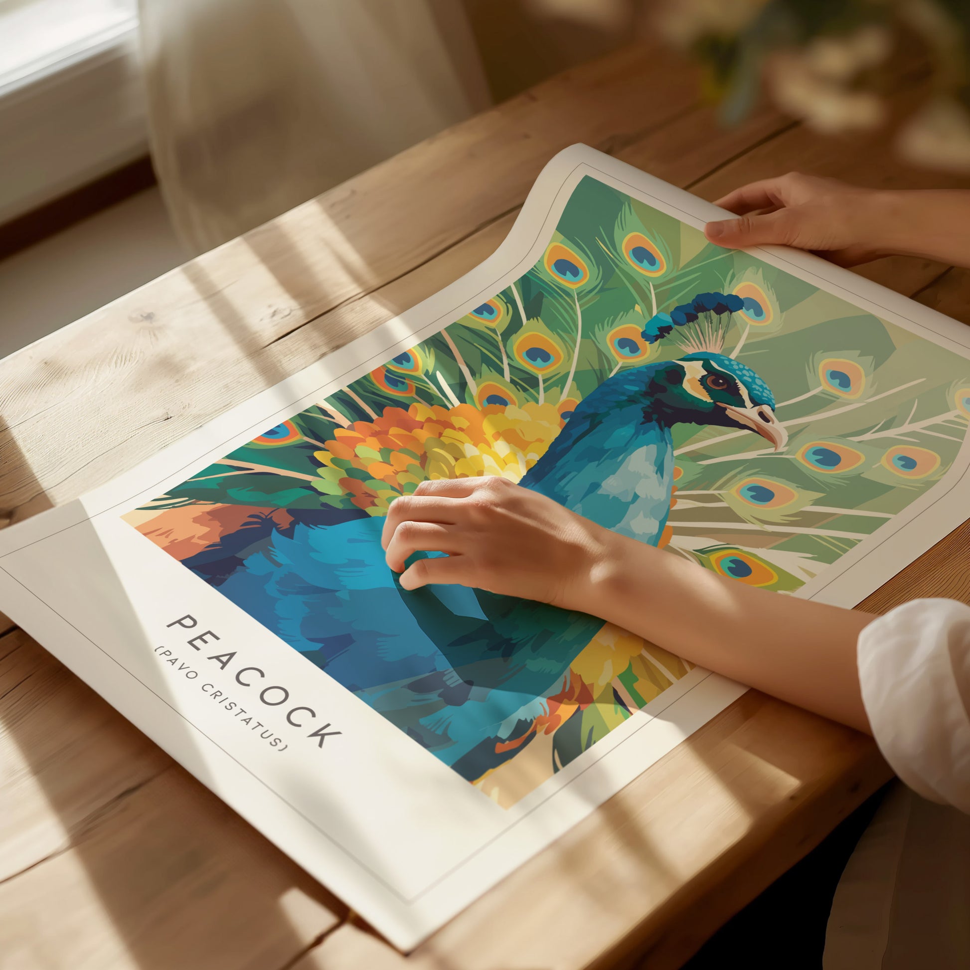 Vibrant peacock art print featuring bold blue, green, yellow, and orange feathers, perfect wildlife decor for nature lovers.