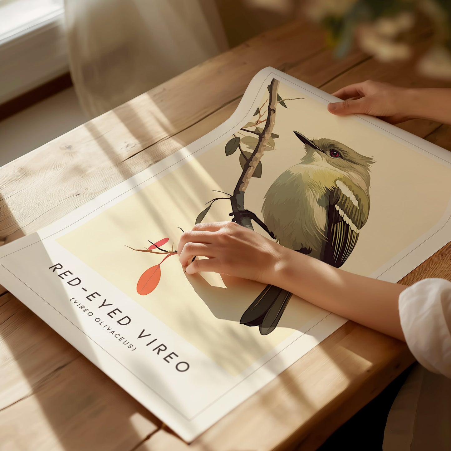 Red-Eyed Vireo Poster | Forest Songbird Wall Art