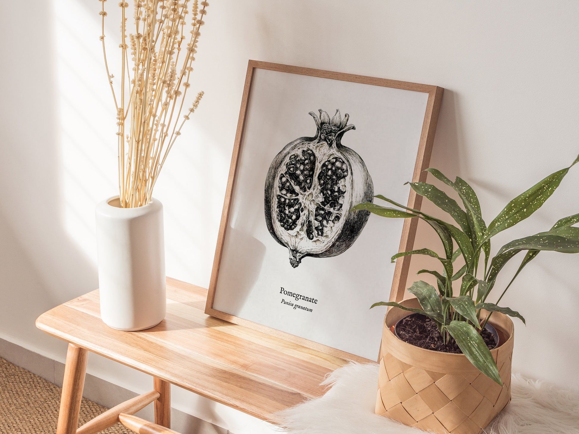Pomegranate Poster | Vintage Punica granatum Botanical Illustration Wall Art — styled in a modern interior
