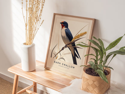 Barn Swallow Audubon Print | Bird Lover Wall Art | Framed or Unframed
