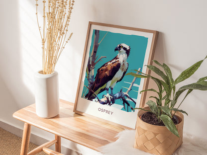 Osprey Poster | Florida Bird of Prey Wall Art Print