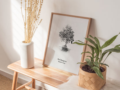Red Mangrove Poster | Rhizophora Mangle Pen and Ink Print Vintage Botanical Illustration — styled in a modern interior