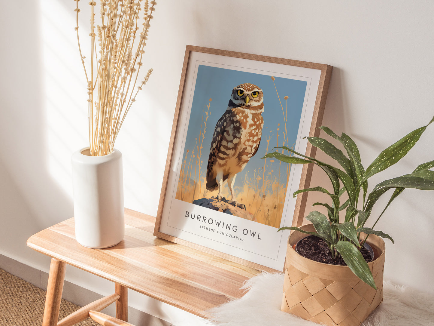 Burrowing Owl Framed Poster | Western Nature Bird Lover Nature Modern Wall Art | Bird Of Prey Audubon Print Farm House Decor