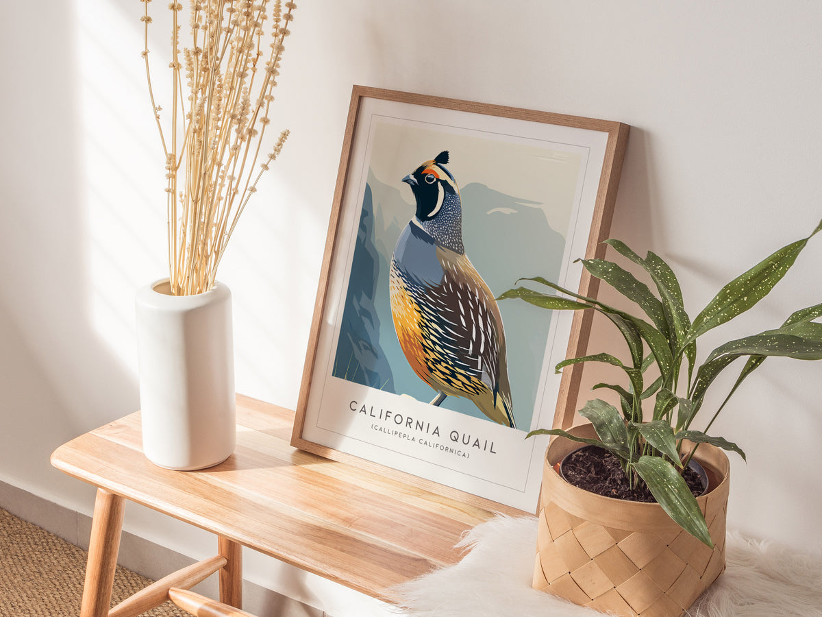 California Quail Poster | Golden State Bird Illustration Wall Art — styled in a modern interior