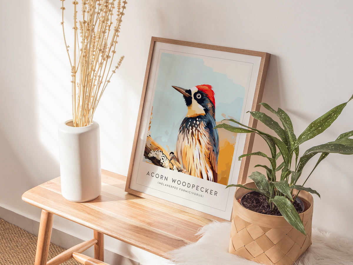 Acorn Woodpecker, Melanerpes formicivorus Poster | Bold Bird Wall Art Nature Print — styled in a modern interior