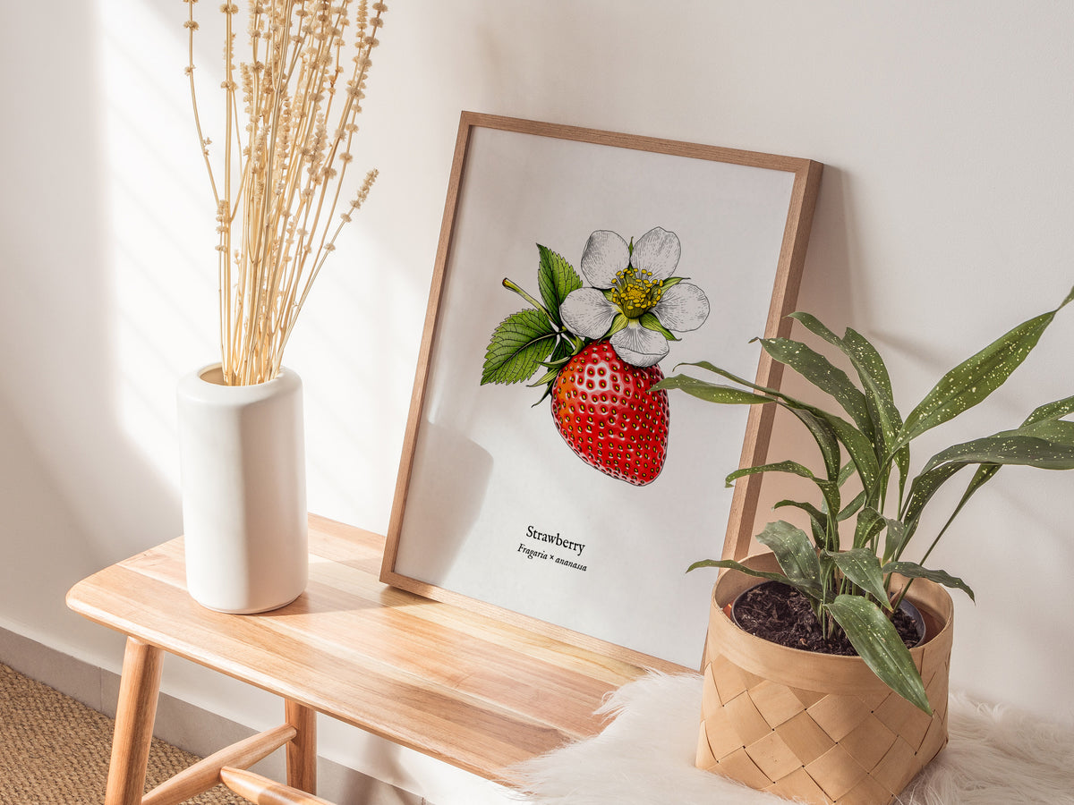 Strawberry Poster | Fragaria × ananassa Pen and Ink Print Vintage Botanical Illustration Wall Art — styled in a modern interi