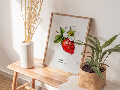 Strawberry Poster | Fragaria × ananassa Pen and Ink Print Vintage Botanical Illustration Wall Art — styled in a modern interi