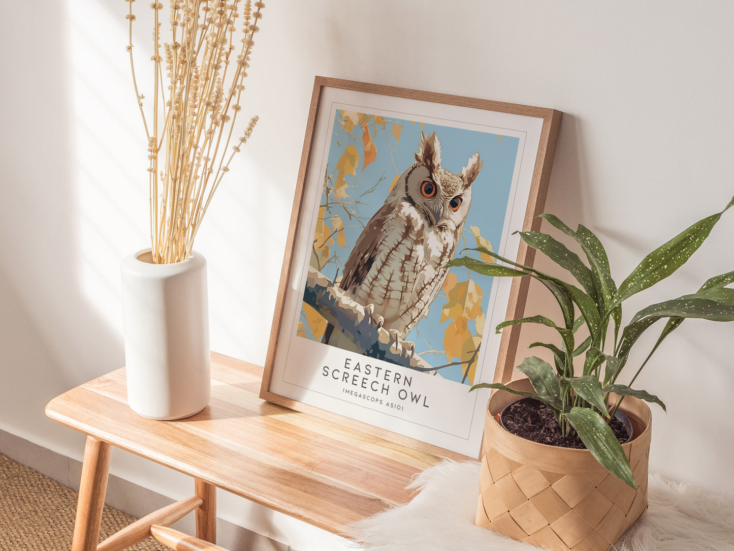 Eastern Screech Owl Poster | Bird Lover Audubon Print Wall Art | Framed or Unframed
