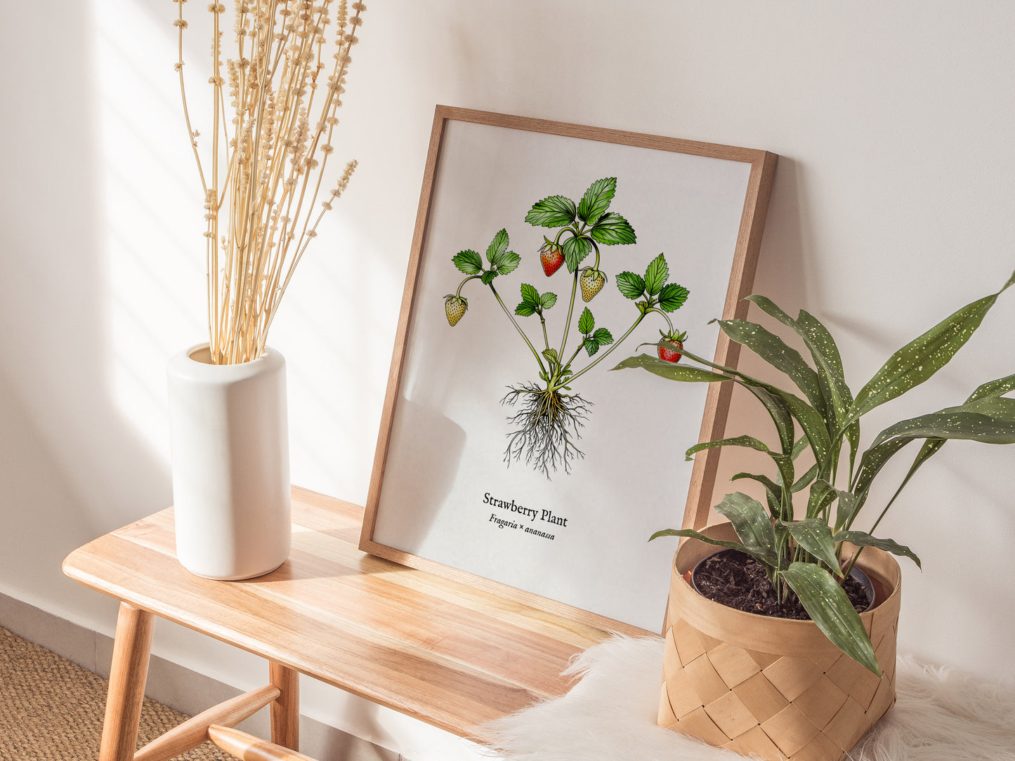 Strawberry Plant Poster | Vintage Fragaria × ananassa Botanical Illustration Wall Art — styled in a modern interior