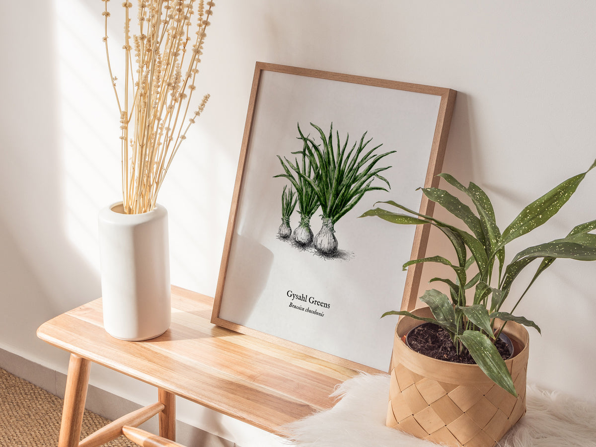 Gysahl Greens Poster | Brassica chocobonis Pen and Ink Print Vintage Botanical Illustration — styled in a modern interior