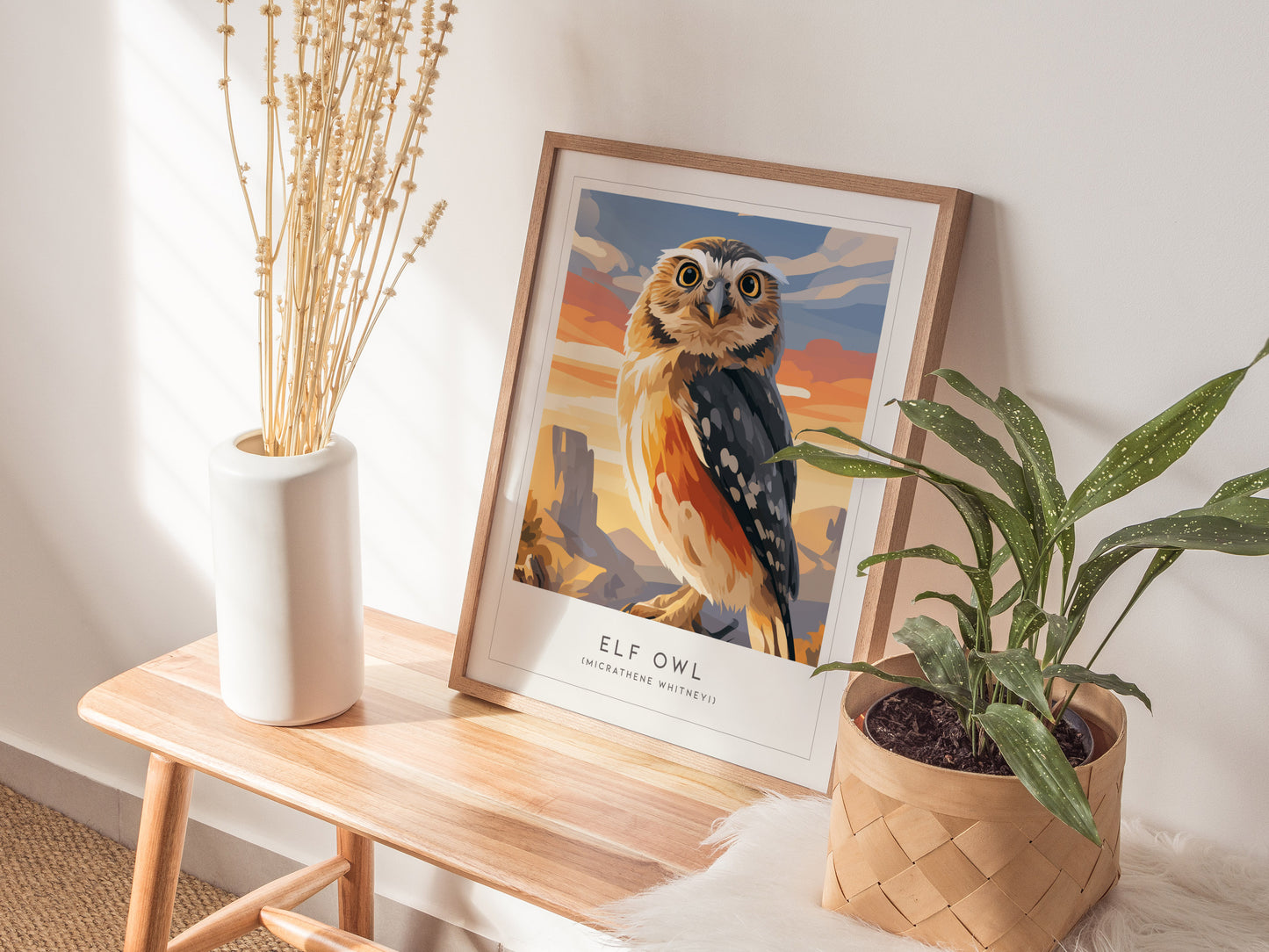 Elf Owl Poster | Desert Night Tiny Owl Wall Art — styled in a modern interior