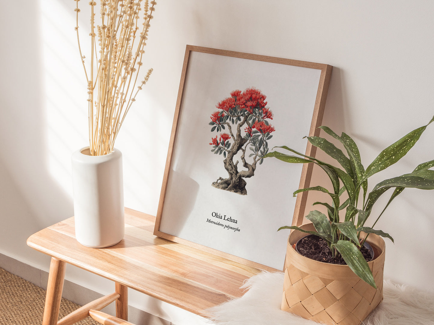 Ohia Lehua Poster | Vintage Metrosideros polymorpha Botanical Illustration Wall Art — styled in a modern interior