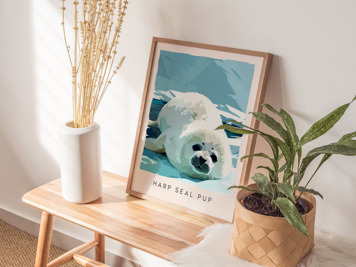 Harp Seal Pup, Pagophilus groenlandicus Poster | Arctic Wildlife Wall Art — styled in a modern interior
