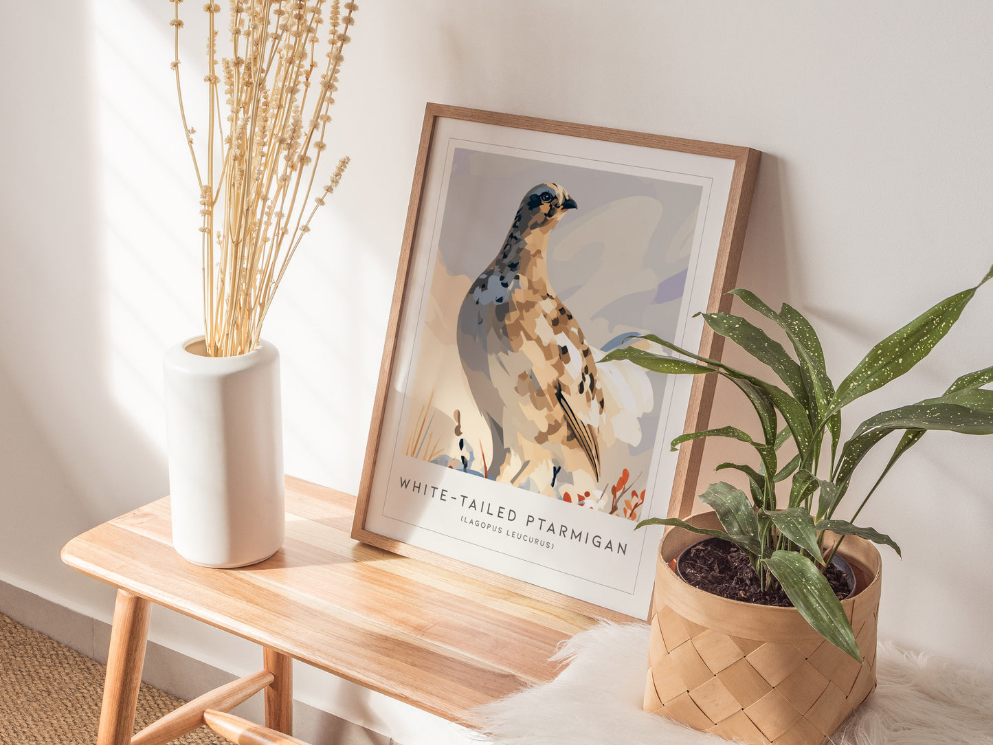 White-tailed Ptarmigan, Lagopus leucurus Poster | Alpine Bird Wall Art — styled in a modern interior