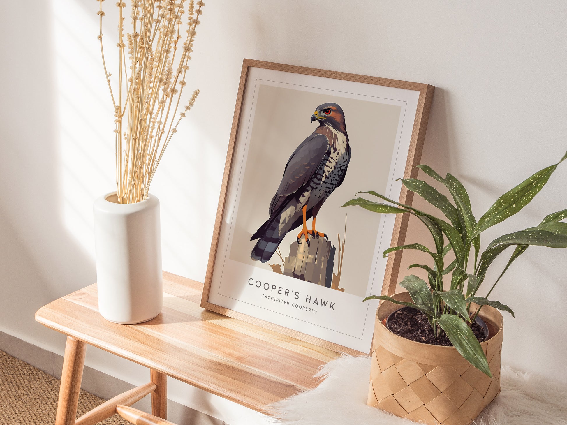 Cooper's Hawk Audubon Print | Bird Lover Modern Wildlife Wall Art | Framed or Unframed