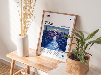 A framed poster titled Shock depicting a snowy mountain scene is placed on a wooden bench between a potted plant and a vase with dried flowers.
