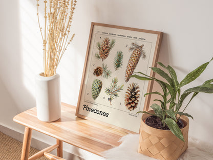A vintage-style botanical poster of pinecones is displayed on a wooden bench, accompanied by a white vase with dried stems and a potted green plant.