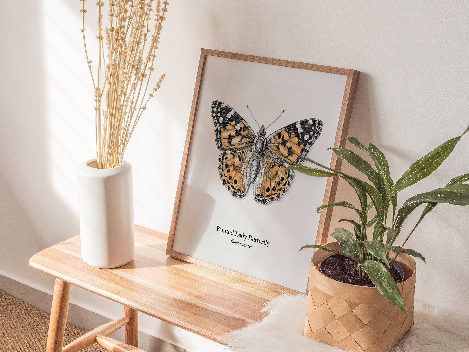 Painted Lady Butterfly Poster | Vintage Vanessa cardui Zoological Illustration Wall Art — styled in a modern interior