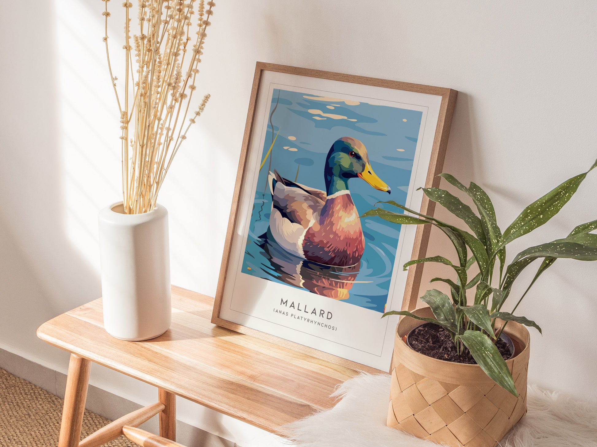 Mallard Poster | Graceful Duck on Tranquil Waters Wall Art — styled in a modern interior