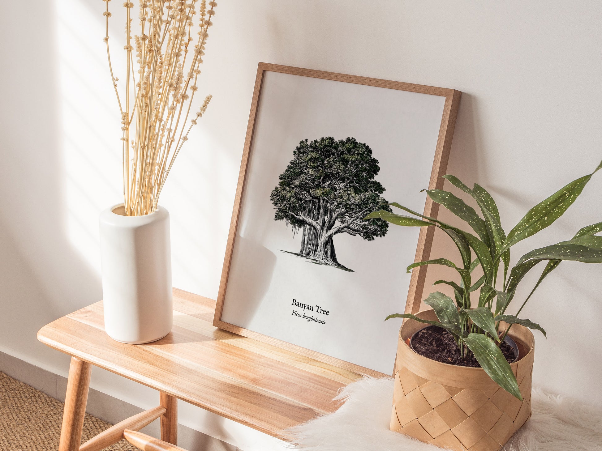 Banyan Tree Poster | Vintage Ficus benghalensis Botanical Illustration Wall Art — styled in a modern interior