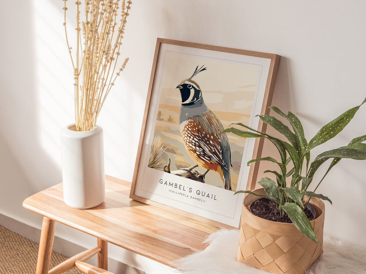 Gambel's Quail, Callipepla gambeli Poster | Desert Bird Wall Art Wildlife Print — styled in a modern interior