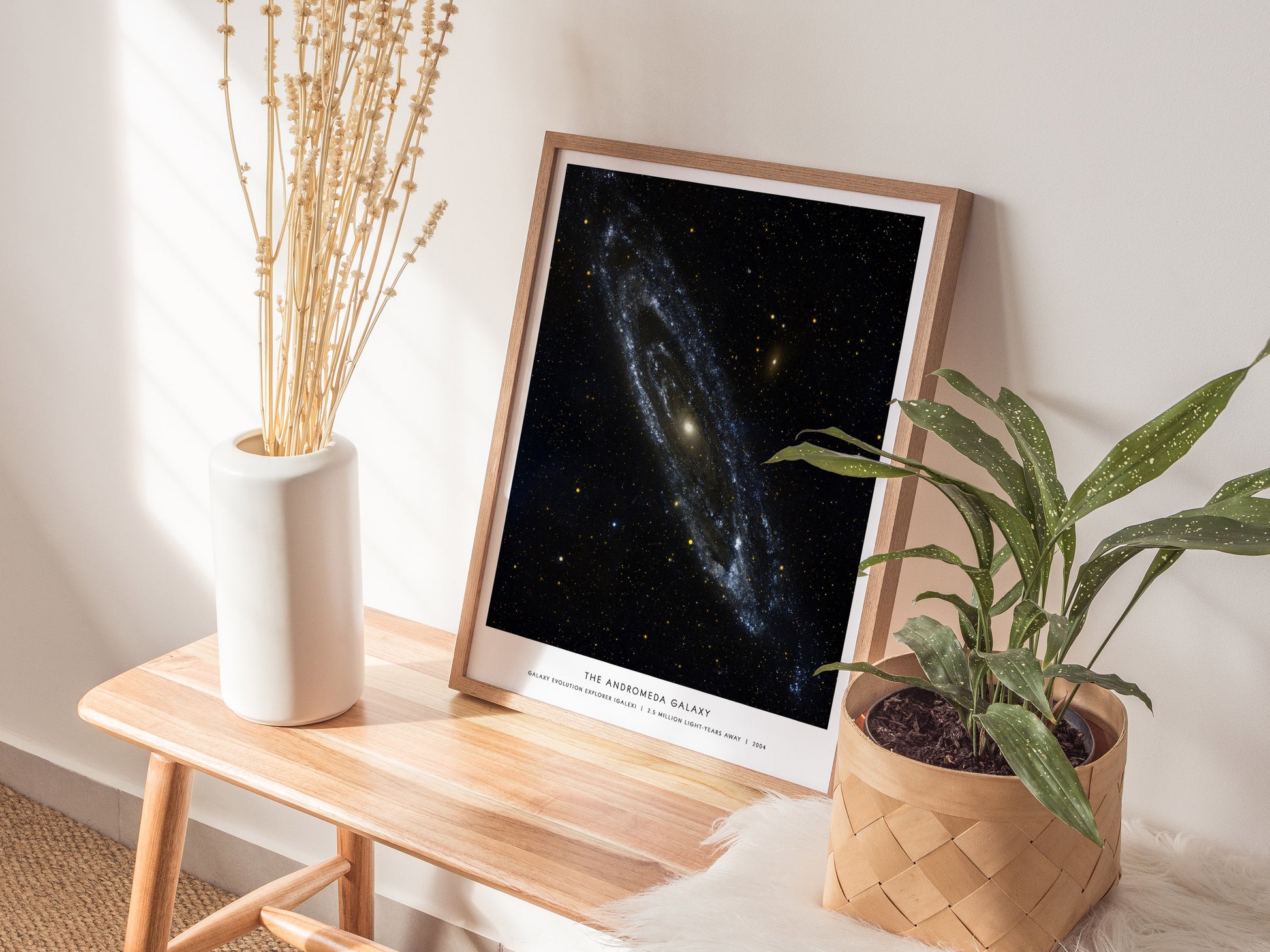 Natural wood framed Andromeda Galaxy M31 space print leaning on a shelf next to plants and neutral accessories