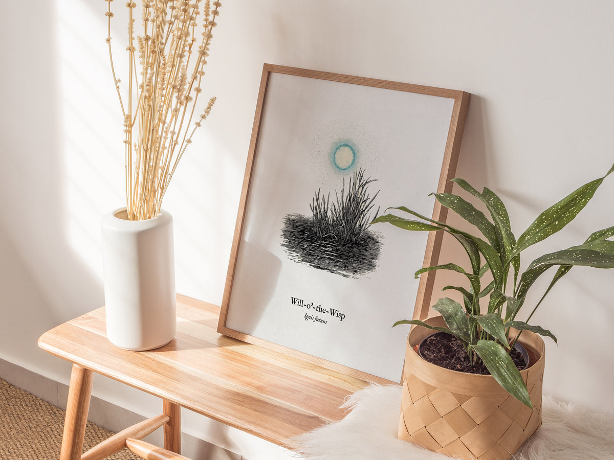 Will-o'-the-Wisp Poster | Ignis Fatuus Pen and Ink Print | Vintage Scientific Illustration Wall Art — styled in a modern inte