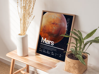A framed poster of Mars is propped on a wooden bench, flanked by a white vase with dried flowers and a potted green plant.
