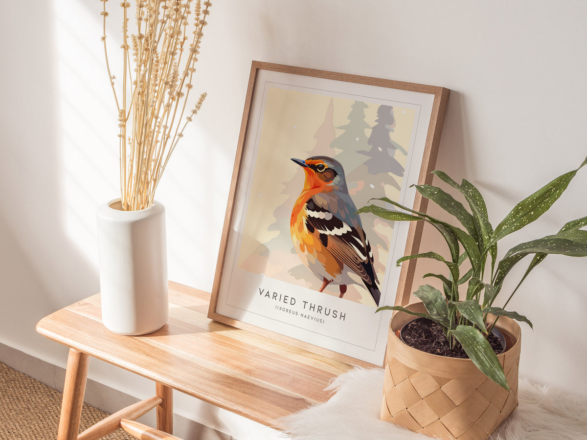 Varied Thrush, Ixoreus naevius Poster | Bold Forest Songbird Nature Poster Wall Art — styled in a modern interior