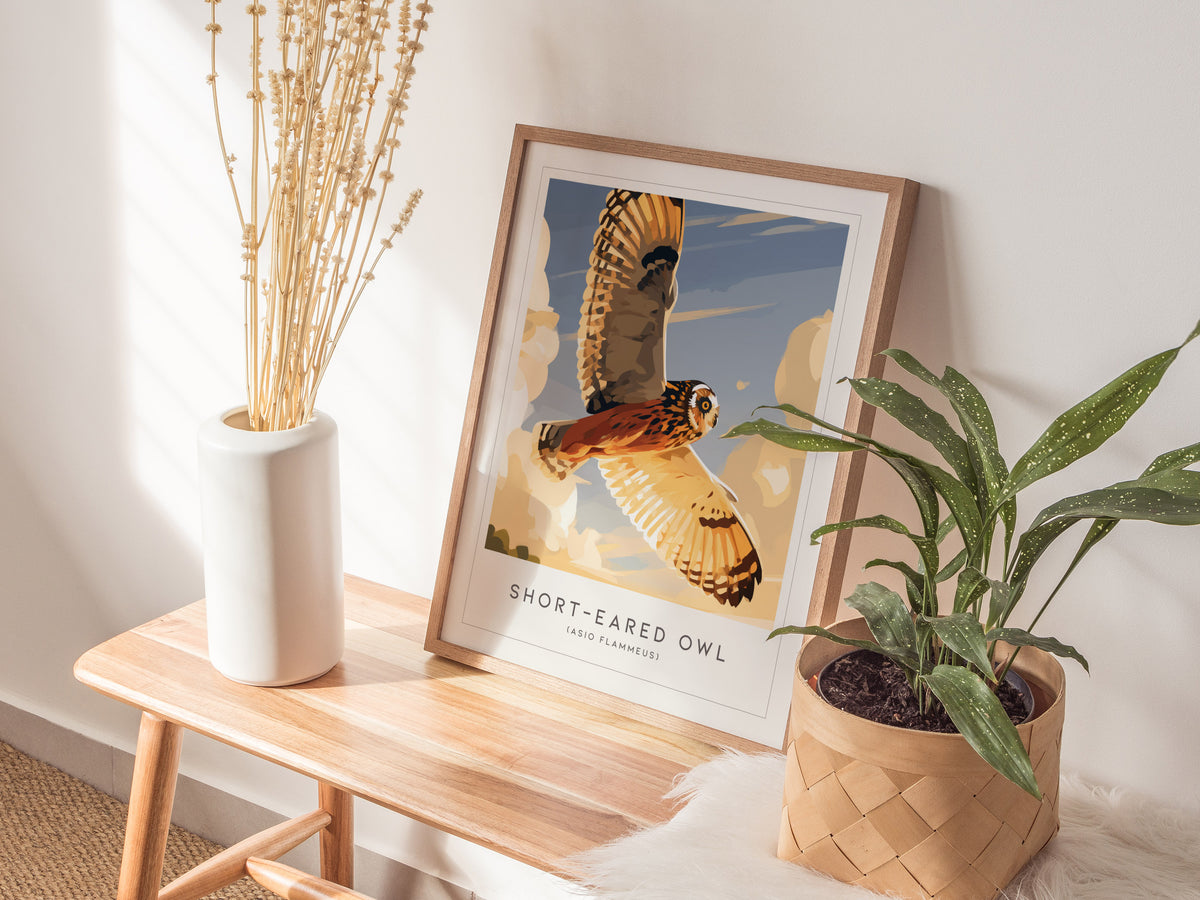 Short-eared Owl, Asio flammeus Poster | Raptor Wildlife Print Nature Wall Art — styled in a modern interior