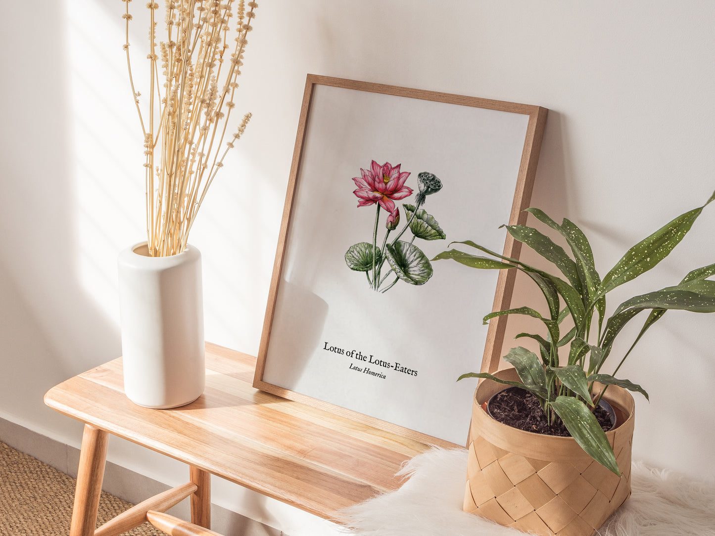Lotus of the Lotus-Eaters Poster | Vintage Lotus Homerica Scientific Illustration Wall Art — styled in a modern interior