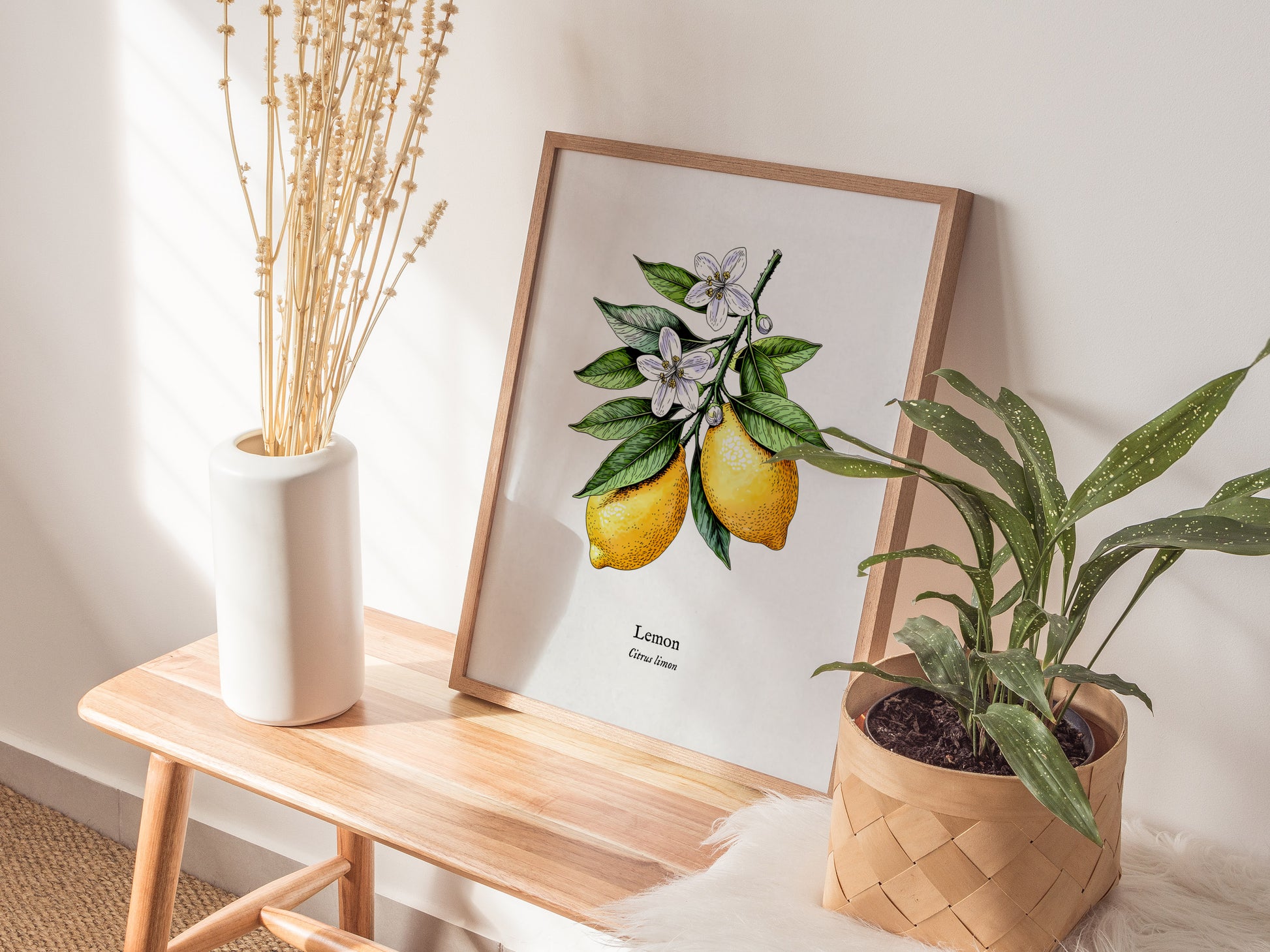 Botanical Lemon Poster | Citrus x Limon Framed Wall Art — styled in a modern interior