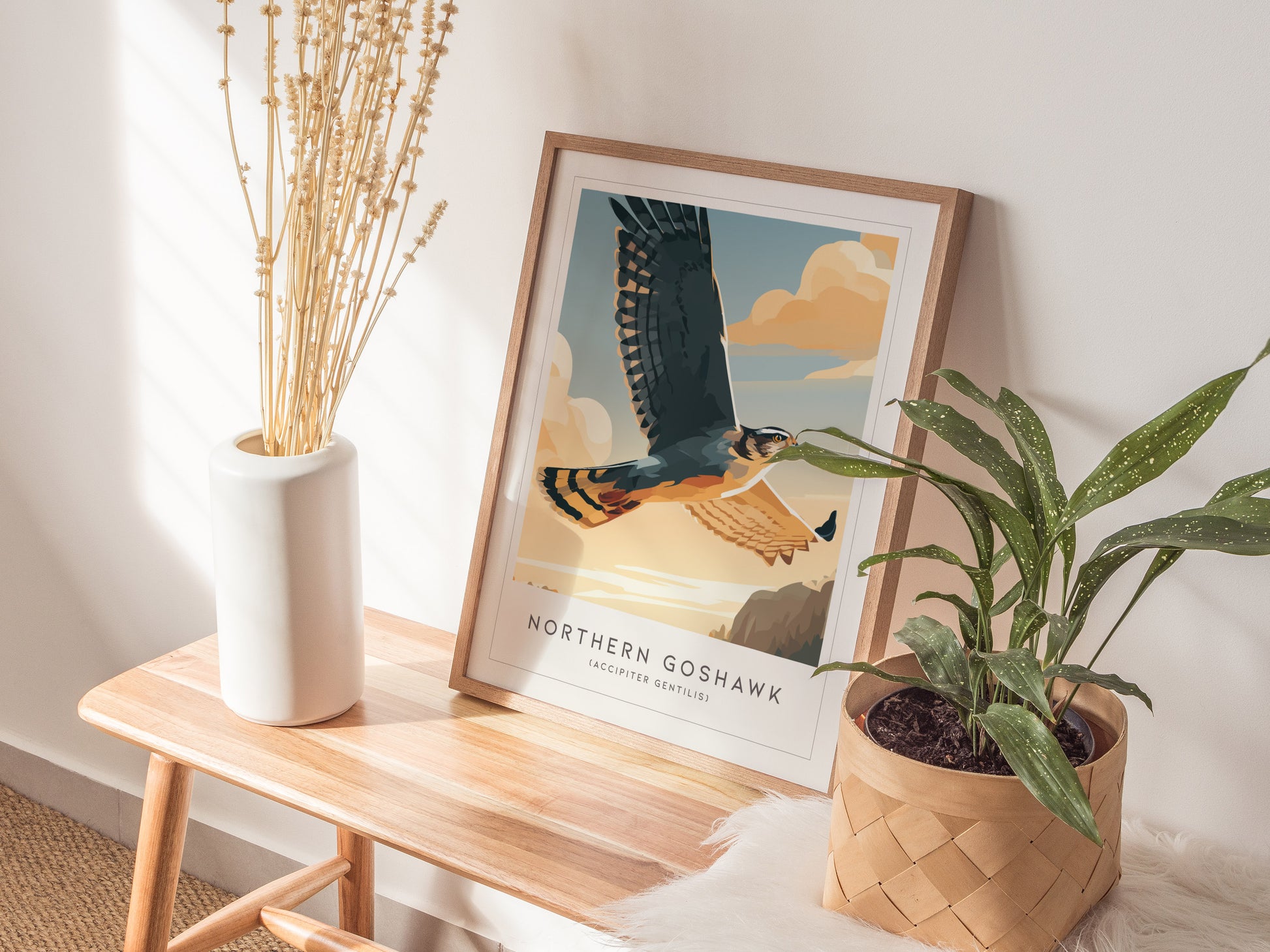 Northern Goshawk, Accipiter gentilis Poster | Fierce Raptor Bird Wall Art — styled in a modern interior