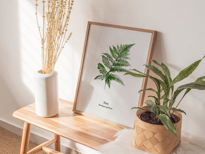 Fern Poster | Pteridium aquilinum Vintage Pen and Ink Print Scientific Illustration Wall Art — styled in a modern interior