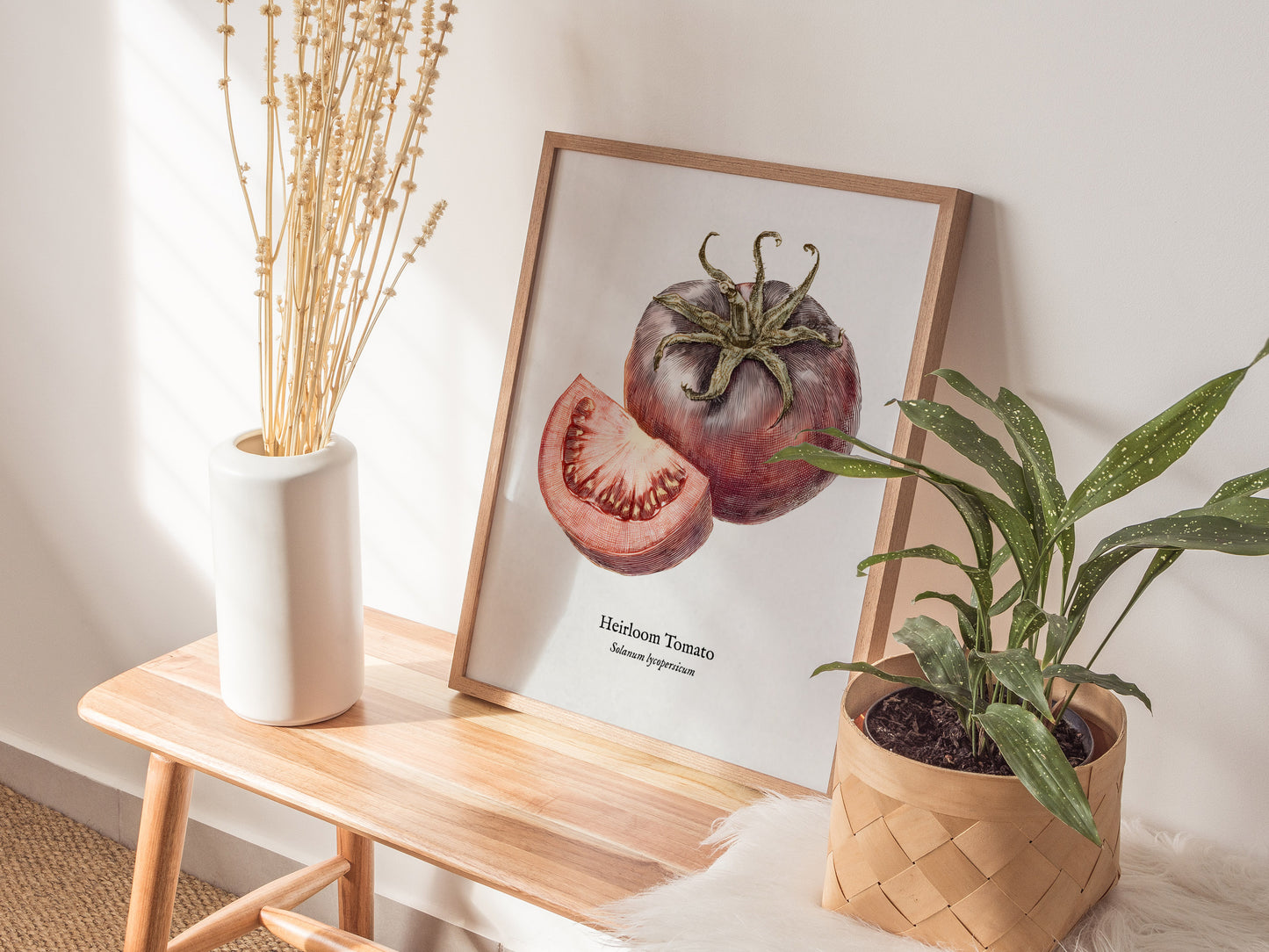 Heirloom Tomato Poster | Vintage Solanum Lycopersicum Botanical Illustration Wall Art — styled in a modern interior
