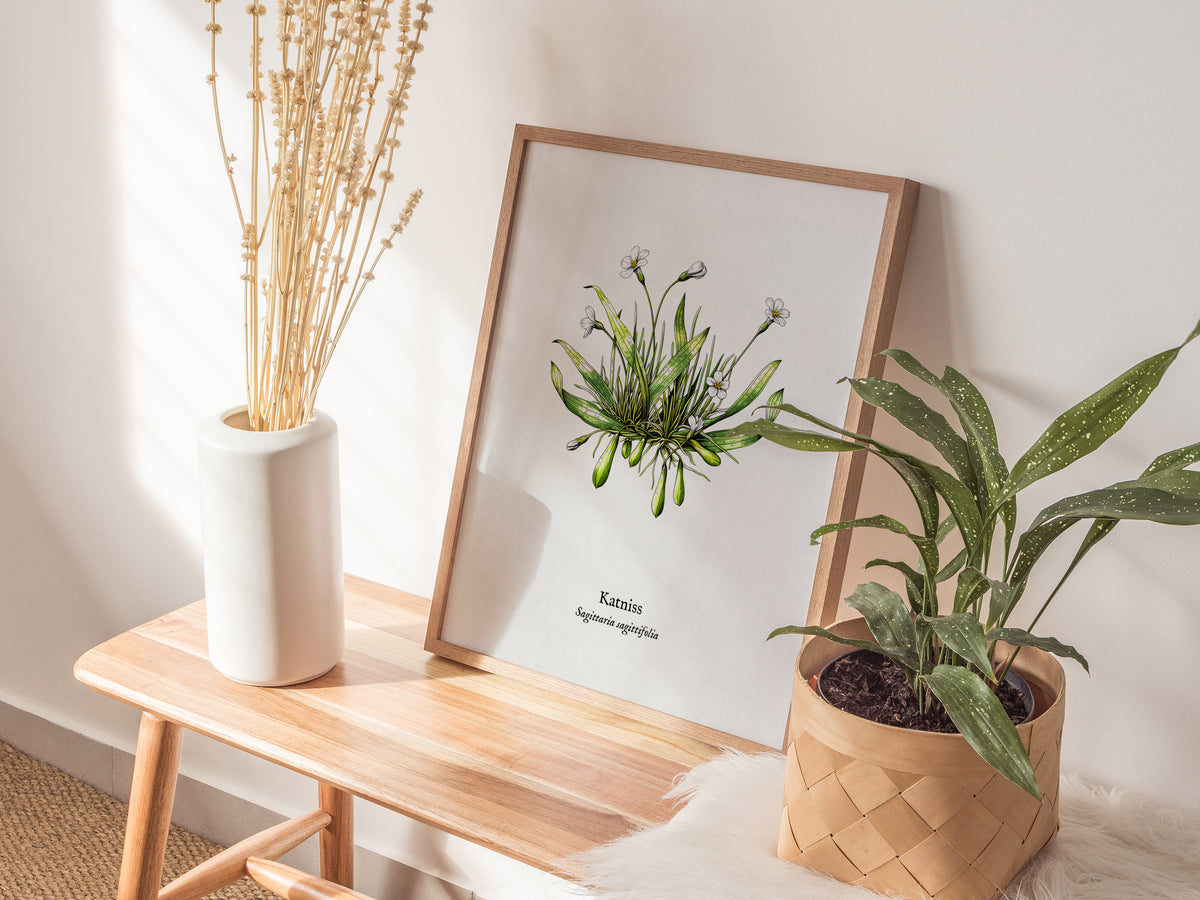 Katniss Poster | Sagittaria sagittifolia Pen and Ink Print | Vintage Botanical Illustration Wall Art — styled in a modern int