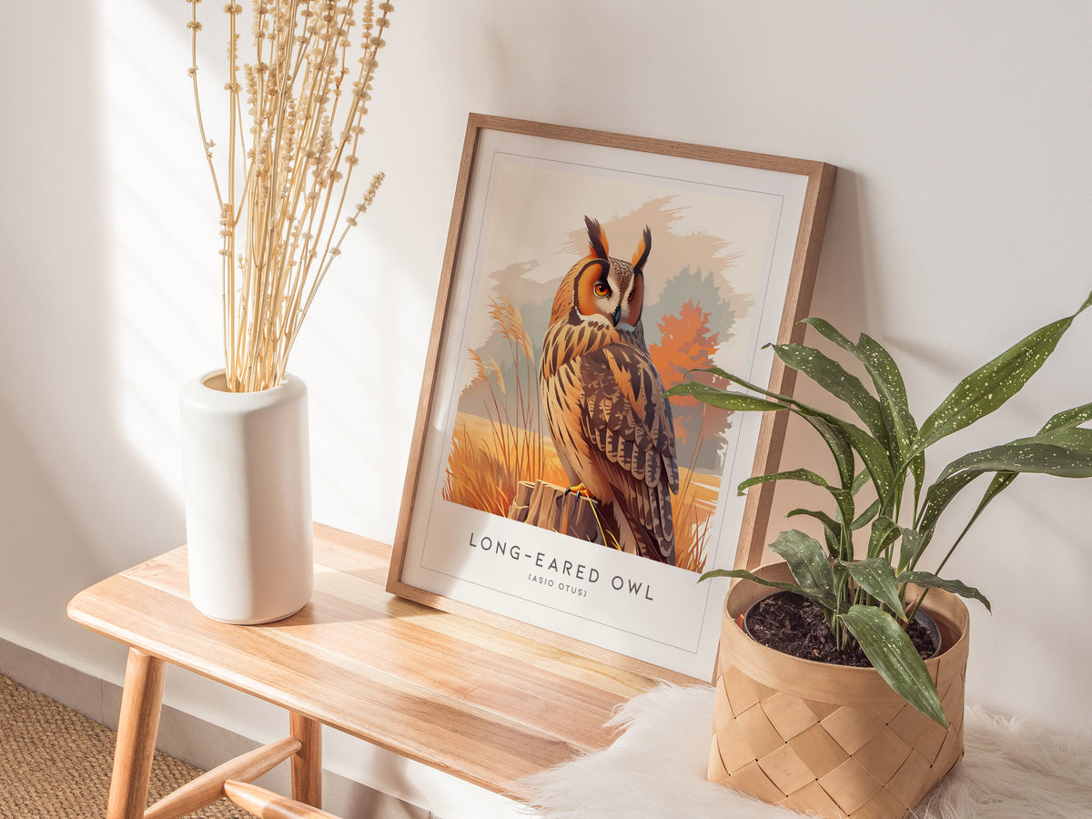 Long-eared Owl, Asio otus Poster | Mysterious Forest Raptor Bird Wall Art — styled in a modern interior