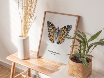 Painted Lady Butterfly Poster | Vintage Vanessa cardui Zoological Illustration Wall Art — styled in a modern interior