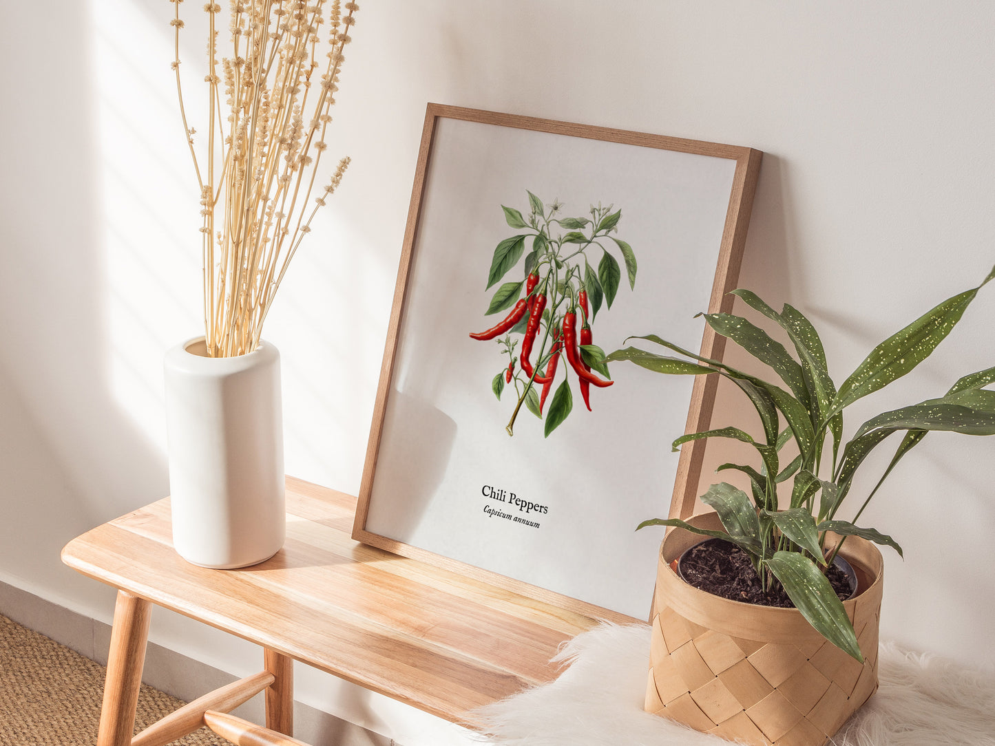 Chili Peppers Poster | Vintage Capsicum Annuum Botanical Illustration Wall Art — styled in a modern interior