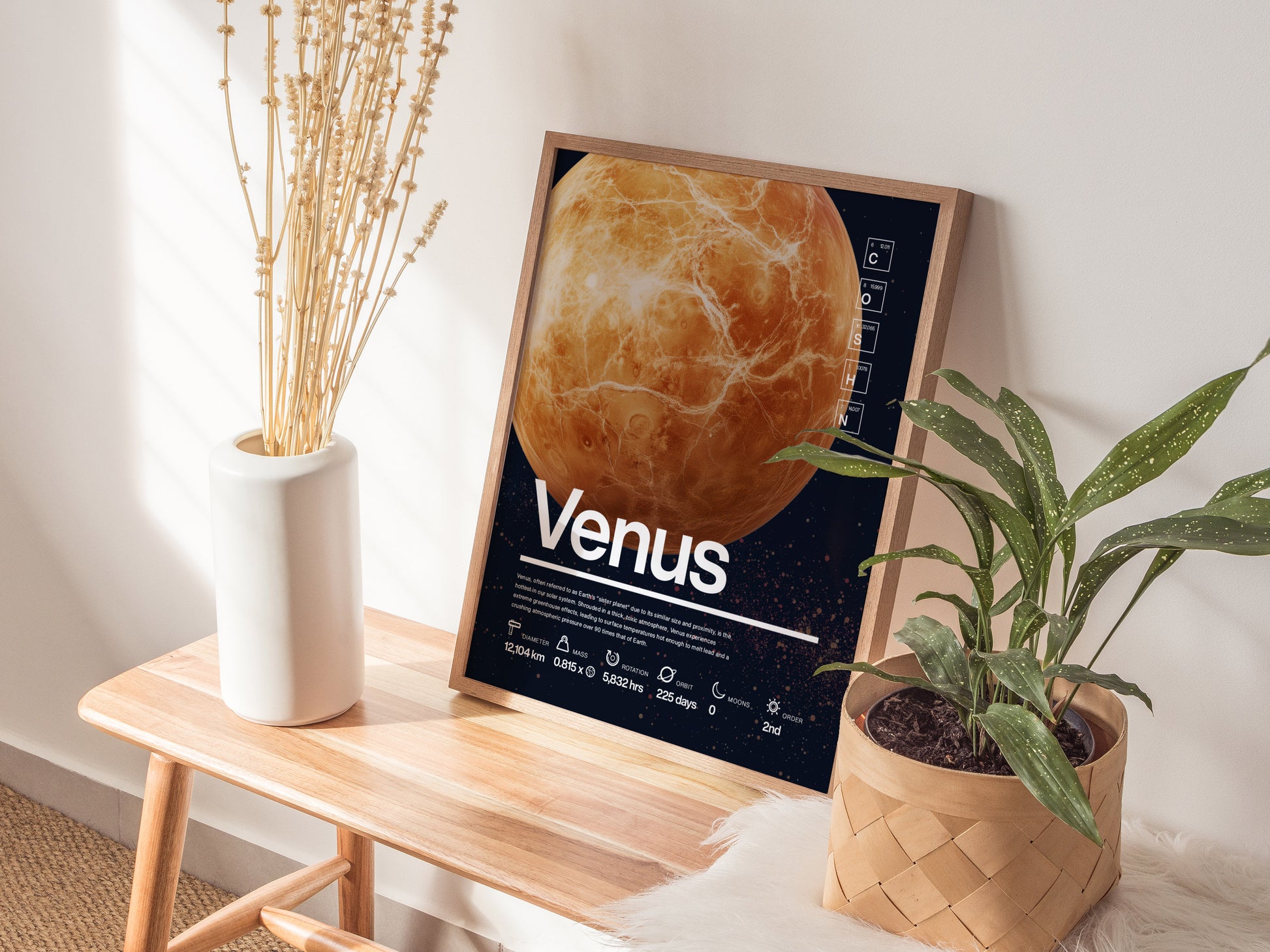 A framed Venus planet poster rests on a wooden bench, accompanied by a white vase with dried flowers and a green potted plant in a woven basket.