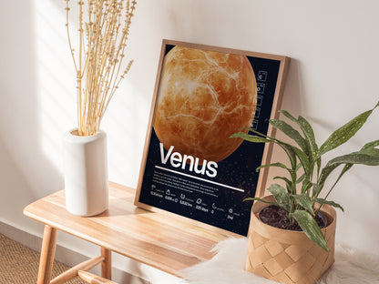 A framed Venus planet poster rests on a wooden bench, accompanied by a white vase with dried flowers and a green potted plant in a woven basket.