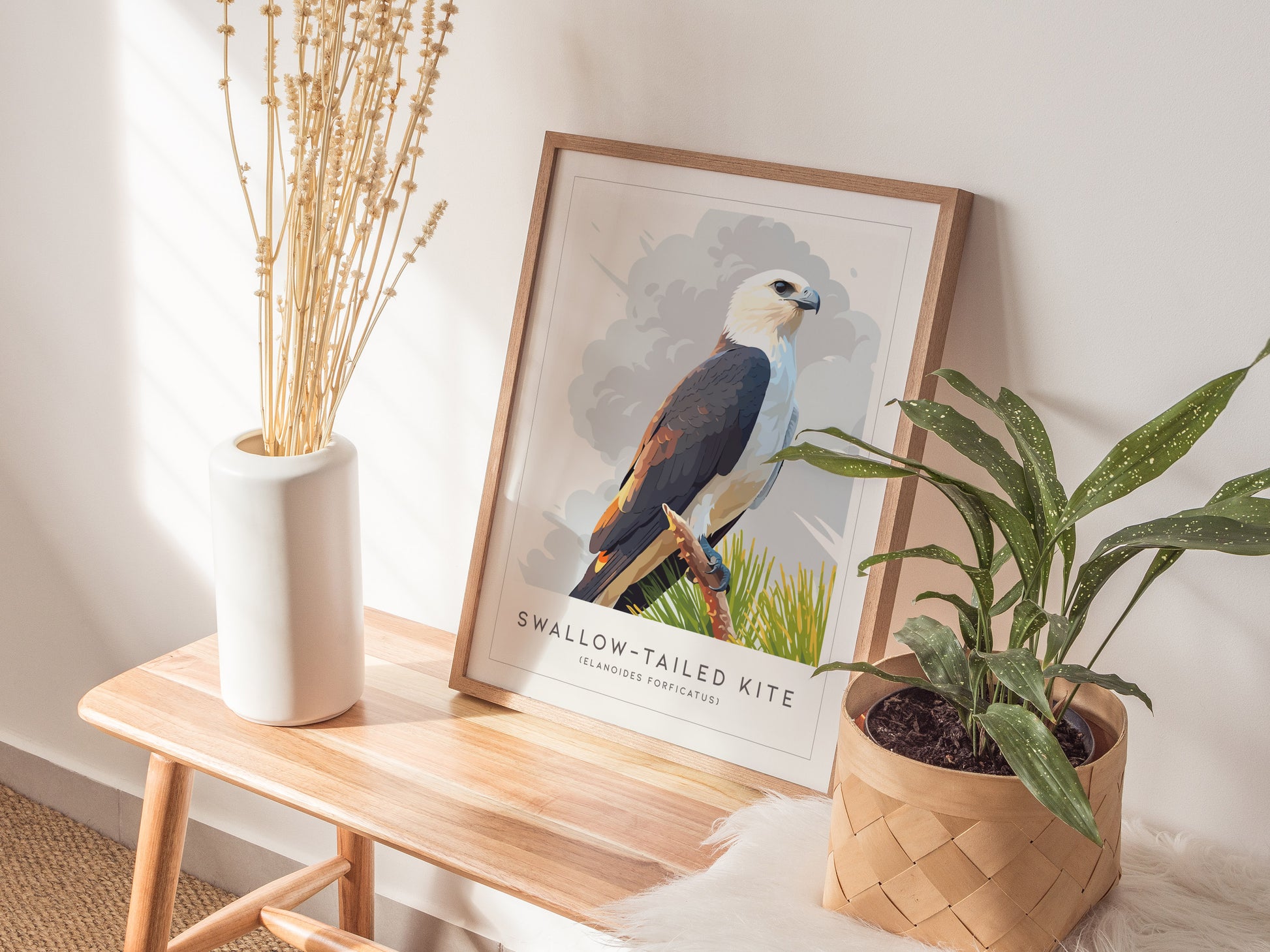 Swallow-tailed Kite Poster | Graceful Raptor in Flight Wall Art — styled in a modern interior