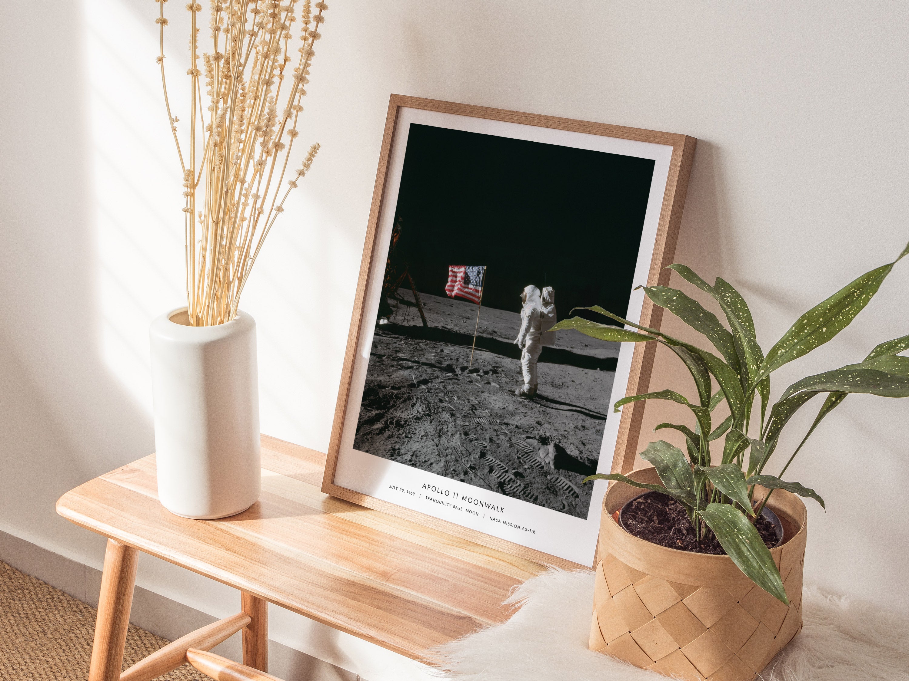 Apollo 11 Moonwalk Poster | Buzz Aldrin on the Moon | Swell Scenes