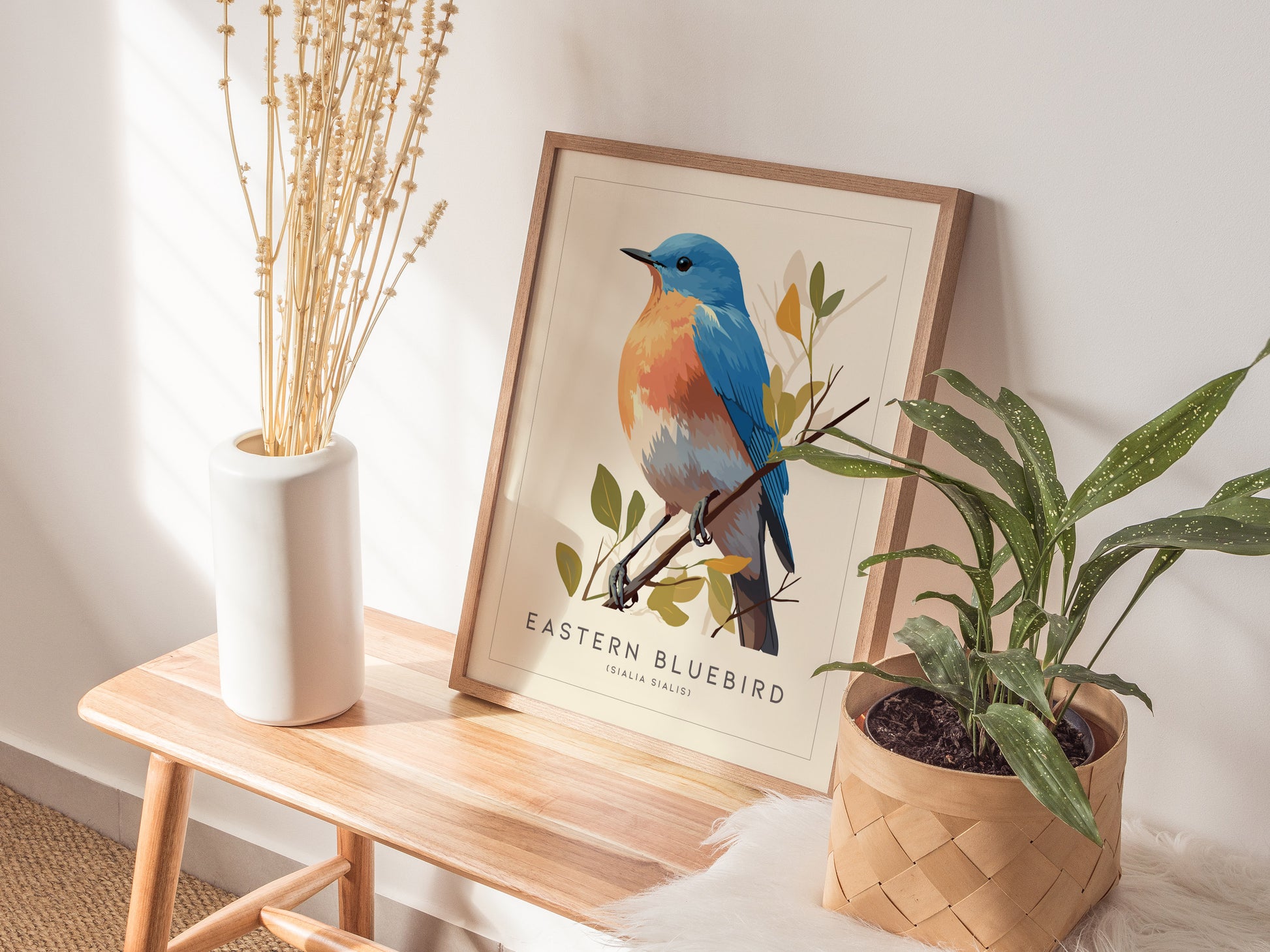 Eastern Bluebird Audubon Print | Bird Lover Cottagecore Wall Art | Framed or Unframed